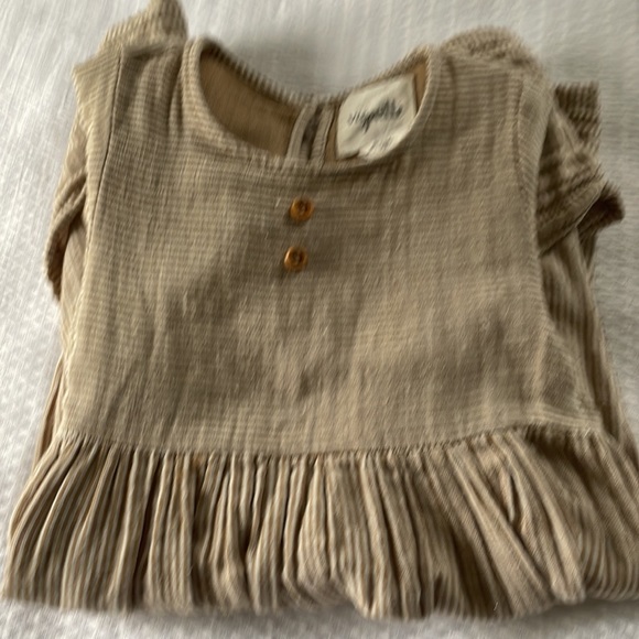 Vingnette Brown Striped Gauzey Dress - Picture 5 of 5